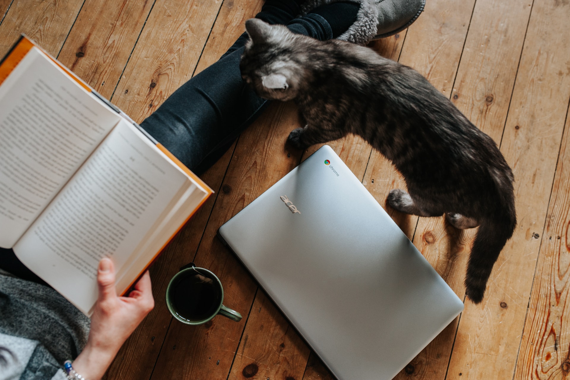 本を読む女性の横に猫