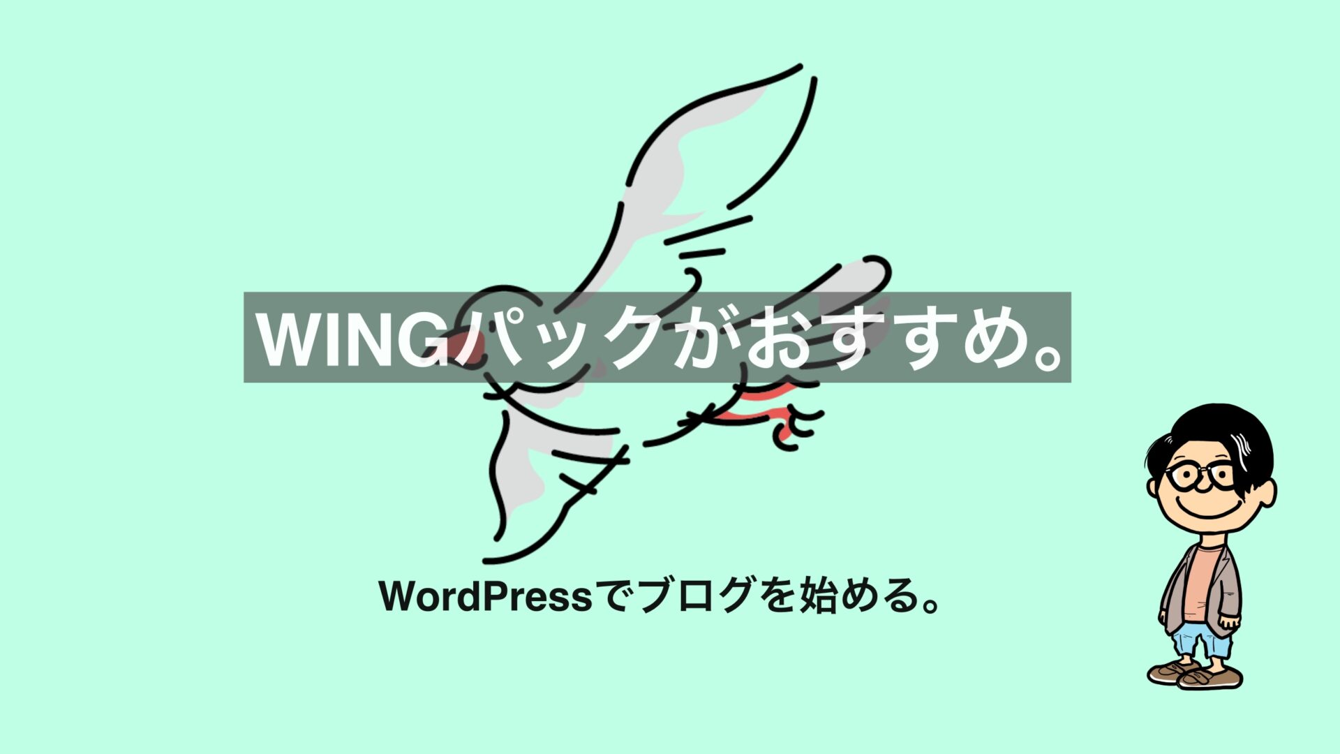 WINGパック